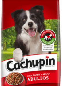 Cachupin adulto 9 kg
