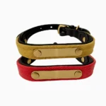 collar cuero algodon