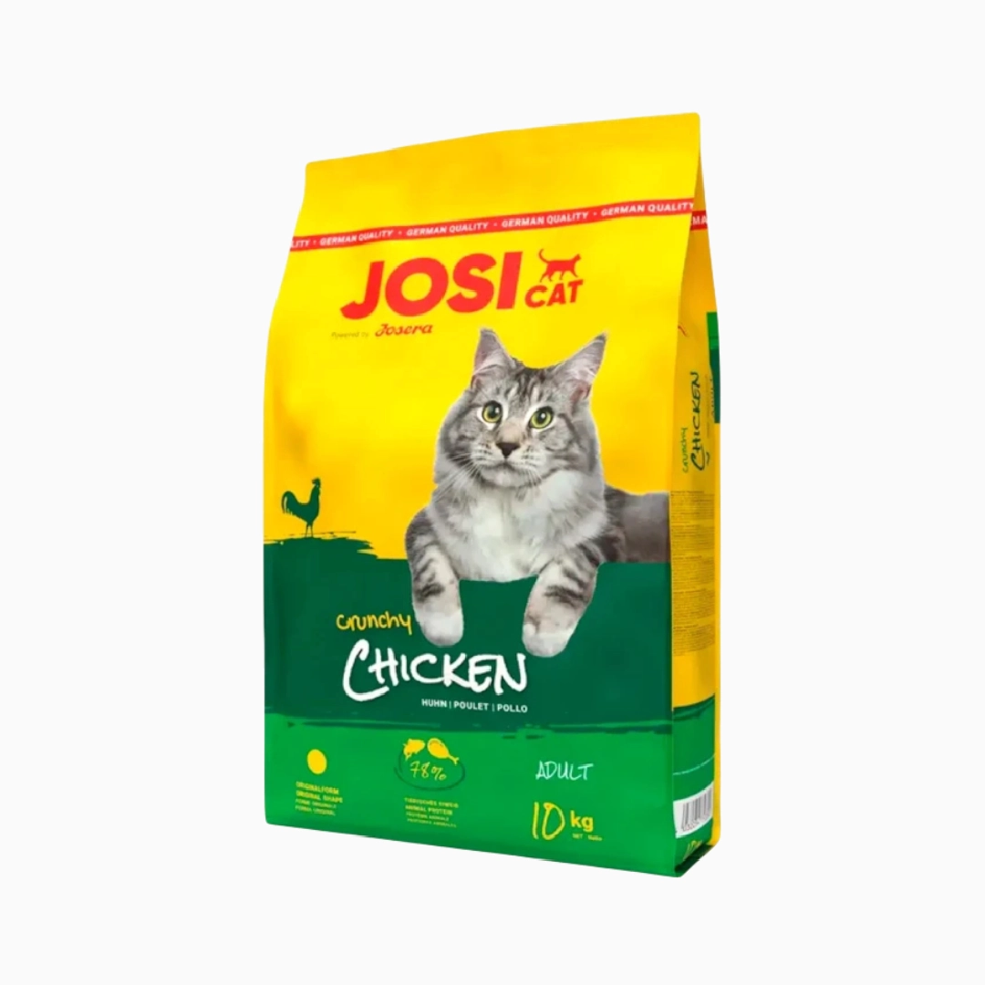 josi cat josi cat