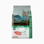 bravery cat kitten