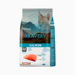 bravery kitten salmon