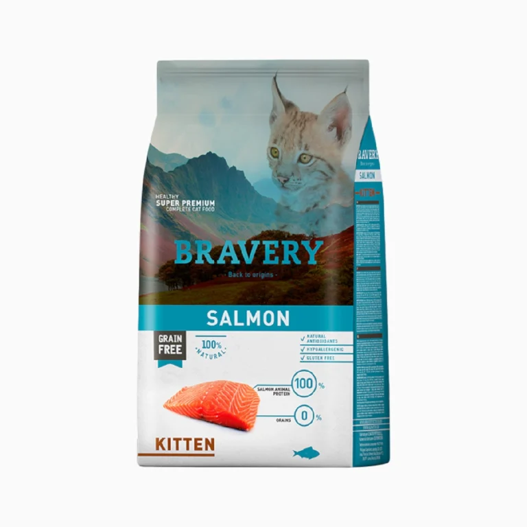 bravery kitten salmon