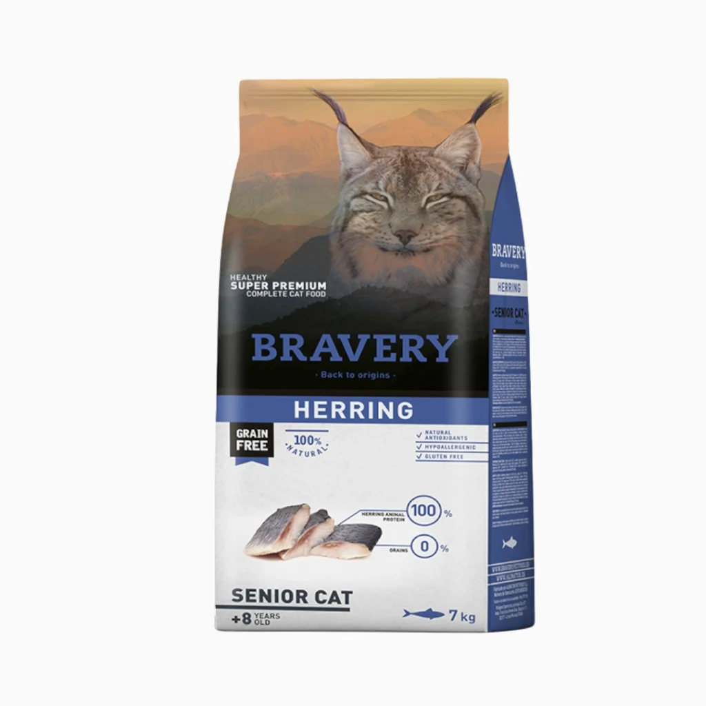 bravery senior cat