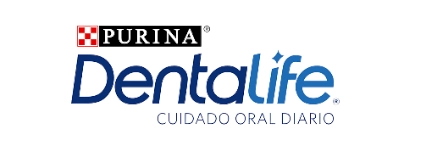 logo dentalife