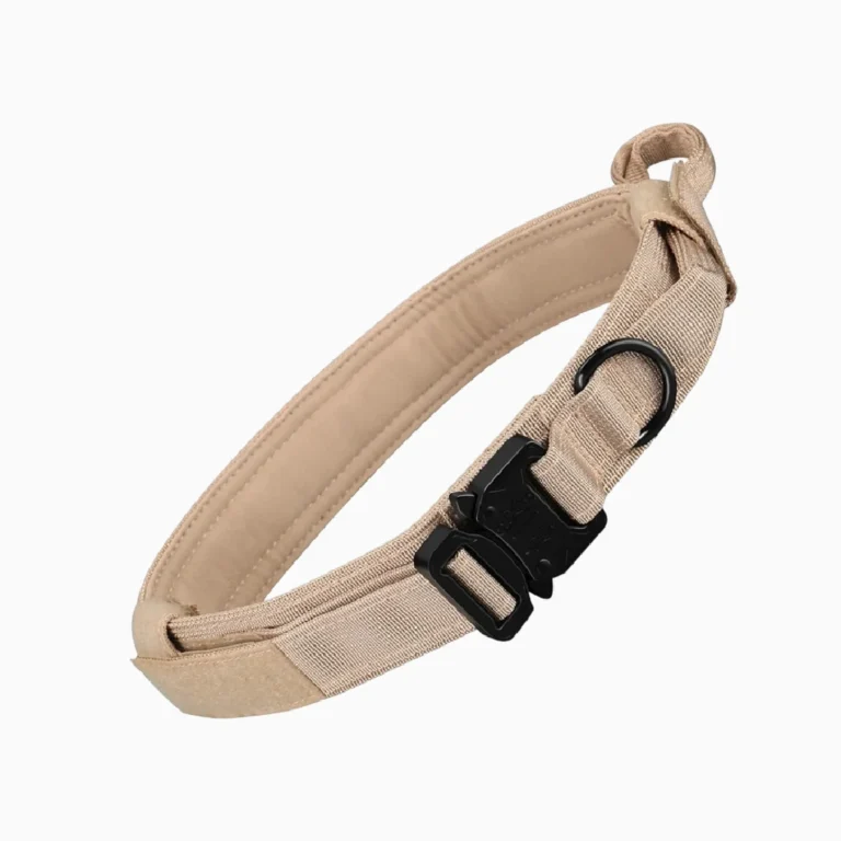 collar perro comando