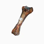 femur