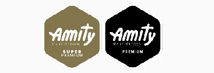 logo amity