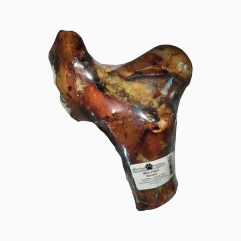 medio femur