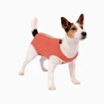 ropa post operatoria