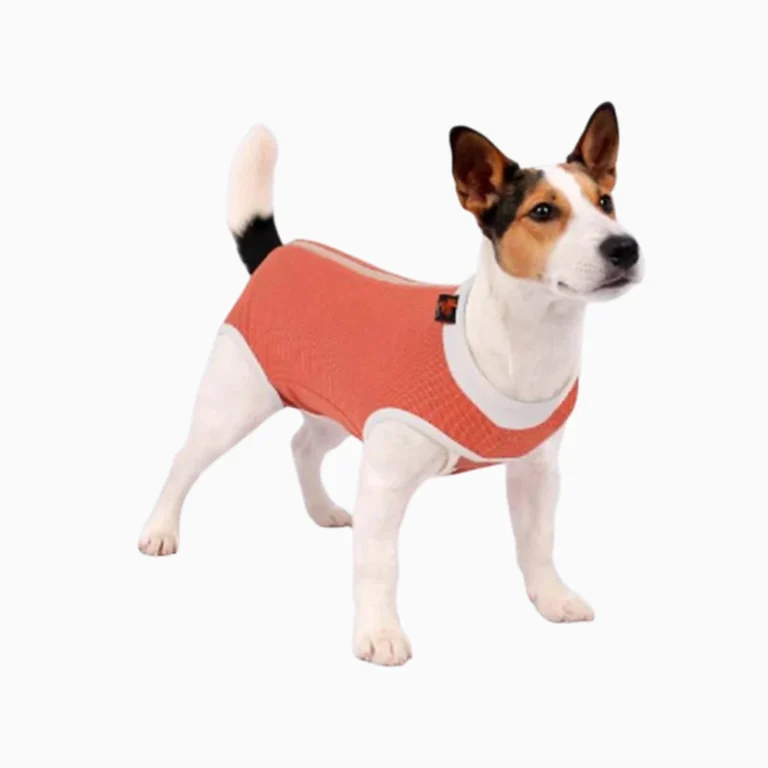 ropa post operatoria
